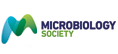 Microbiology Society